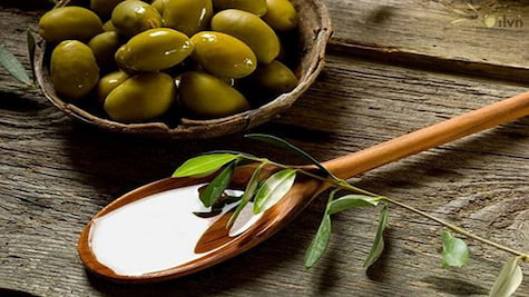 قیمت زیتون شور